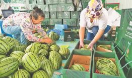 吃瓜爆料柳州视频大全集,视频大全集精彩回顾