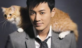 林峰主演的电视剧