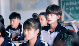 薄荷之夏电视剧,青春校园的甜蜜邂逅与成长之旅