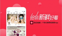 吃瓜头条爆料视频大全集,揭秘热门视频大全集背后的精彩故事